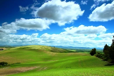 Field Green WILD AND WIDE – Nature Fields HD Desktop Wallpapers
