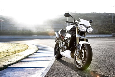 White Triumph Speed Triple R Wallpapers   1600x1067   584104