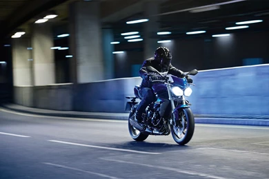 Triumph Speed Triple Image