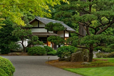 Japanese House (