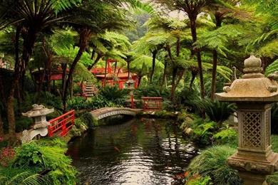 Download Modern Architecture House Wallpapers Free