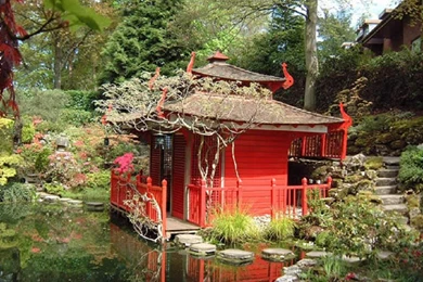 Japanese Tea House (