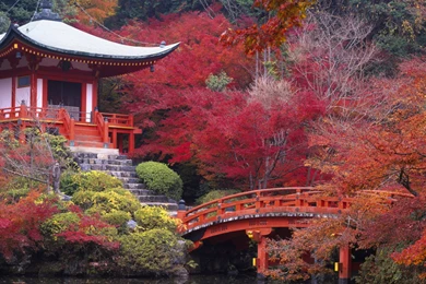 Wallpapers Download 2524x2524 Japanese House And Garden Autumn