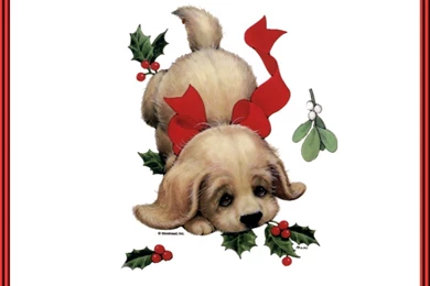 Christmas Puppy   Christmas Cards Wallpapers Image