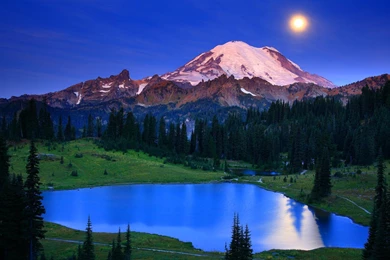 Download Wallpapers Mount Rainier National Park ( Washington, USA ...
