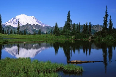 Mount Rainier National Park Wallpapers, Desktop Wallpapers » GoodWP.com