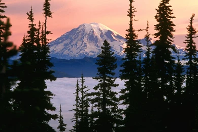 Mount Rainier Wallpapers   Wallpapers Cave
