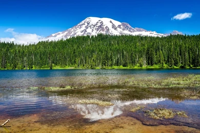 1920x1080 Mount Rainier National Park Wallpapers
