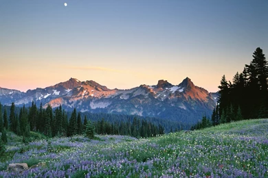 Mount Rainier Mountain Best Photo Shoots.   PhotosJunction