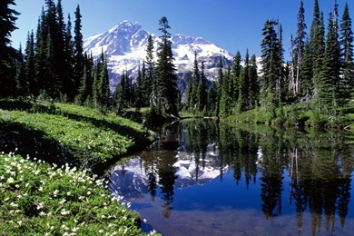 Mount Rainier Desktop Wallpapers & Backgrounds HD Pics