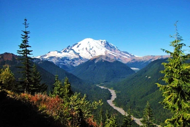 Mount Rainier With White River   (