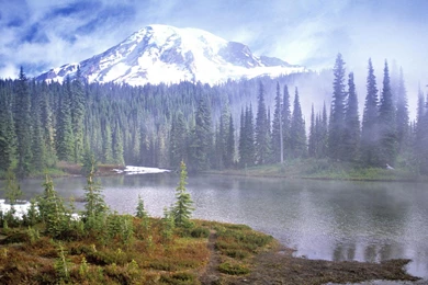 FOG ON MOUNT RAINIER NATIONAL PARK WASHINGTON WALLPAPER   (