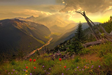 Mount Rainier Beautiful Mountain Scenery Wallpapers HD