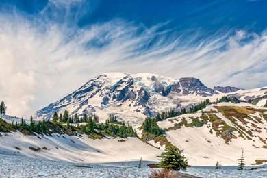 Mount Rainier National Park