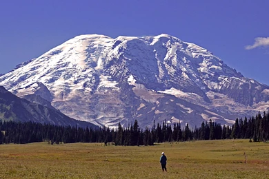 High Quality Mount Rainier Wallpapers