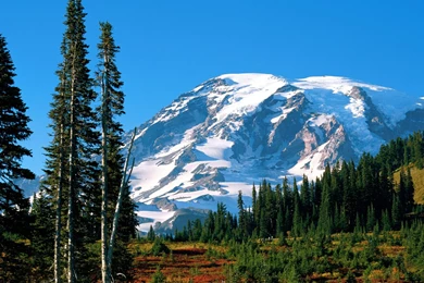 Mount Rainier Desktop Wallpapers & Backgrounds HD Pics