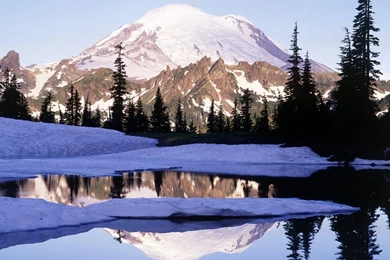 Nature: Cool Reflections Tipsoo Lake Mount Rainier Washington ...