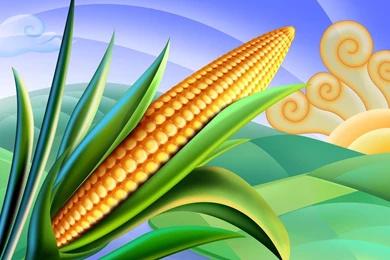 Psd Food Illustrations 3 Corn Clipart Corn Picture Wallpapers ...