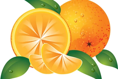 Download Wallpaper: Clipart, Oranges, Photo, Wallpapers For Desktop