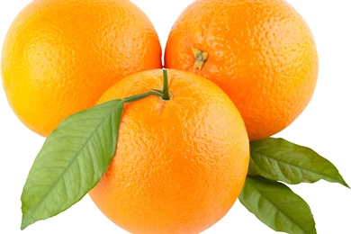 Download Wallpaper: Oranges, Photo, Wallpapers, Clipart, Orange