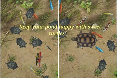 Download Water Pool Live Wallpapers Android App: Install Latest ...