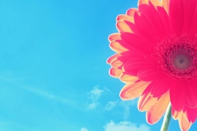 600x1024 Wallpapers   Wallpapers Zone