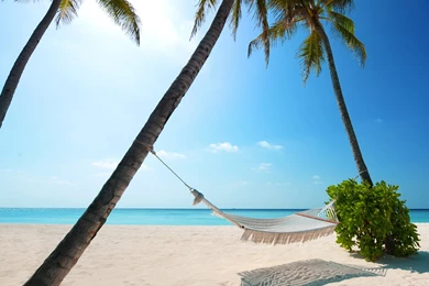 Wallpapers Wednesday   A Place In The Sun