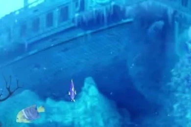 Aquarium Live WallPaper Android Apps On Google Play