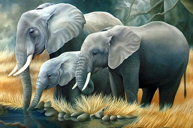 Free desktop wallpaper animals 10 18577 HD Wallpapers