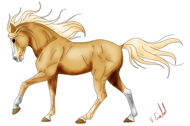 Random Palomino Horse By FeatherfurWolf On DeviantArt