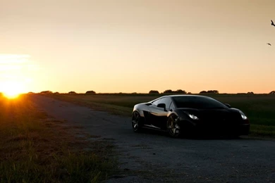Black Cars Lamborghini Lamborghini Gallardo 1920x1200 Wallpapers ...