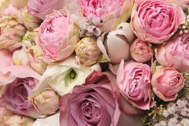 Vintage Rose Wallpapers 69, Rose Flower Images, Rose Pictures And ...