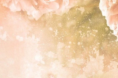 Vintage Roses Live Wallpapers   Android Apps On Google Play