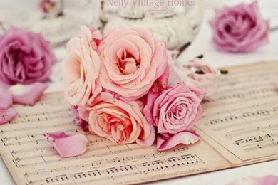 Vintage Rose