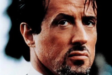 Sylvester Stallone On VipWiki.org