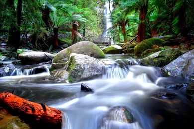 Havasu Falls Wallpapers