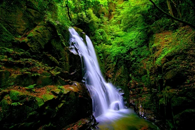 Waterfalls: FOREST WATERFALLS Green Nature Falls Free Wallpapers ...