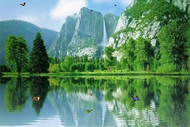 Water Falls Wallpapers – Water Garden Online