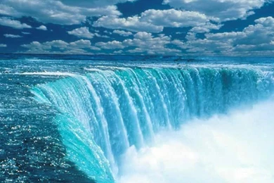 Finding Nemo   Wallpaper.