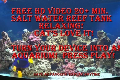 Salt Water Fish Tank Aquarium Reef Marine Free Screen Saver For ...