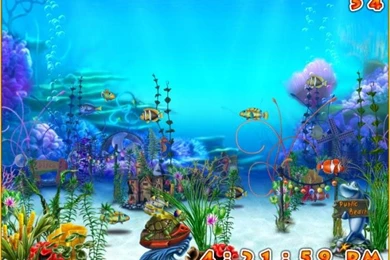 Exotic Aquarium 3D Screensaver   Download