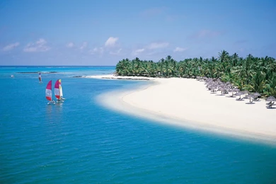 Fantasy Morning HD Wallpapers