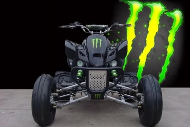 Monster And Fox Pics