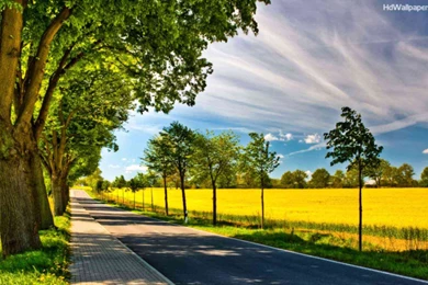 Best Nature Backgrounds 2016