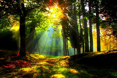 Beautiful Nature Sunres Desktop Backgrounds