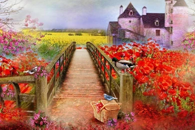 Phone Nature Desktop Backgrounds