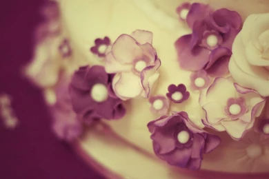 Cake Close Up Flowers Purple White HD Wallpapers   FreeWallsUp