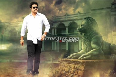 Wallpapers Jr Ntr Latest Hd Image Gallery 1024x768