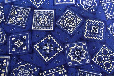 SUR 13 Photo By Nene1324