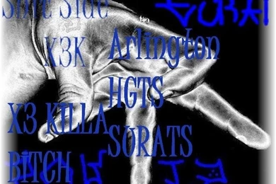 Surenos 13 Quotes. QuotesGram